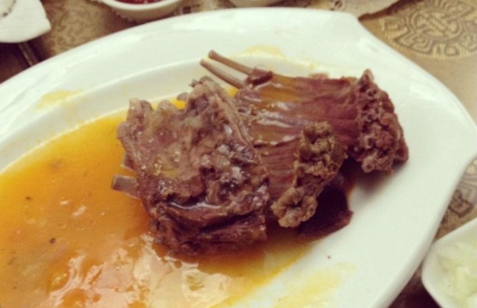 Dog meat